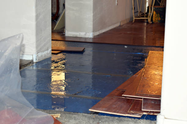 Professional Sewage Cleanup technician working in Saint Johns, MI